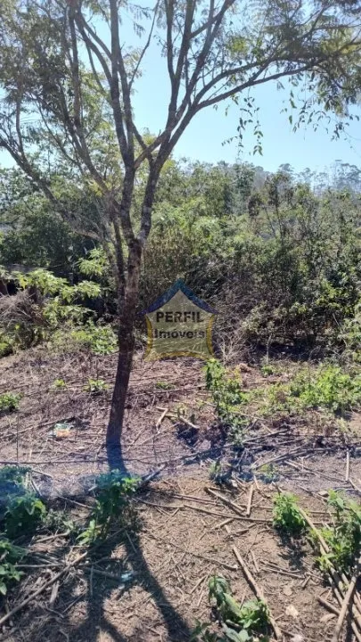 Ótimo Terreno para Venda no bairro Km 4, 367 m