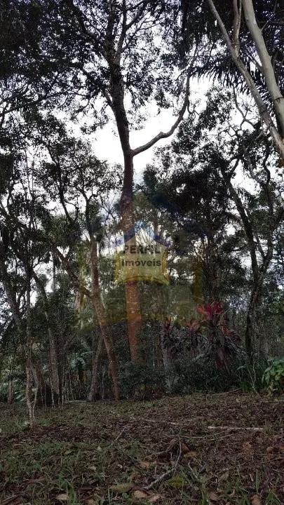 Chácara à Venda no bairro Palmeiras, Suzano- 5 dorm, 1 suíte, 236,32 m, 8.100 m
