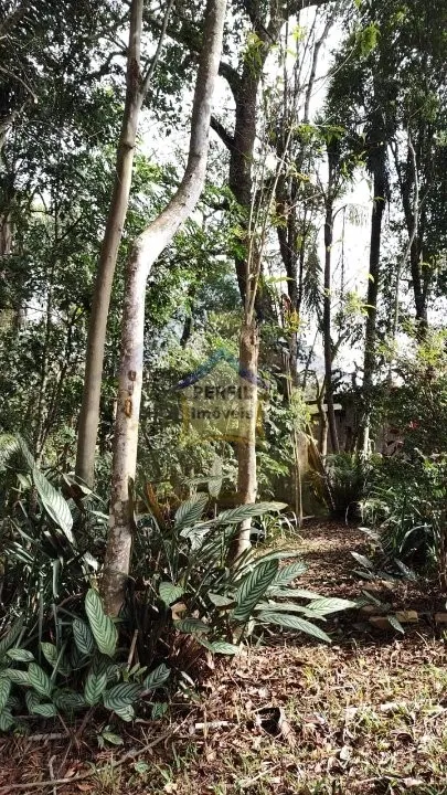 Chácara à Venda no bairro Palmeiras, Suzano- 5 dorm, 1 suíte, 236,32 m, 8.100 m
