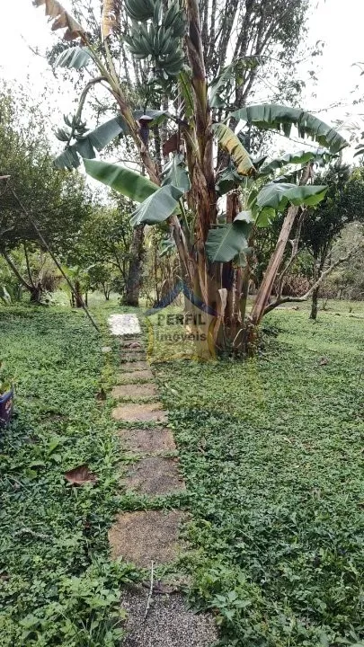 Chácara à Venda no bairro Palmeiras, Suzano- 5 dorm, 1 suíte, 236,32 m, 8.100 m