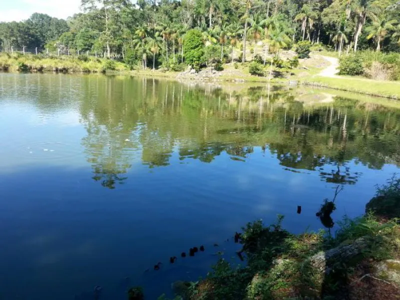 BELÍSSIMO SITIO - BARROSO -EM SUZANO! Com lago churrasqueira pomar, forno a lenha e muito mais.