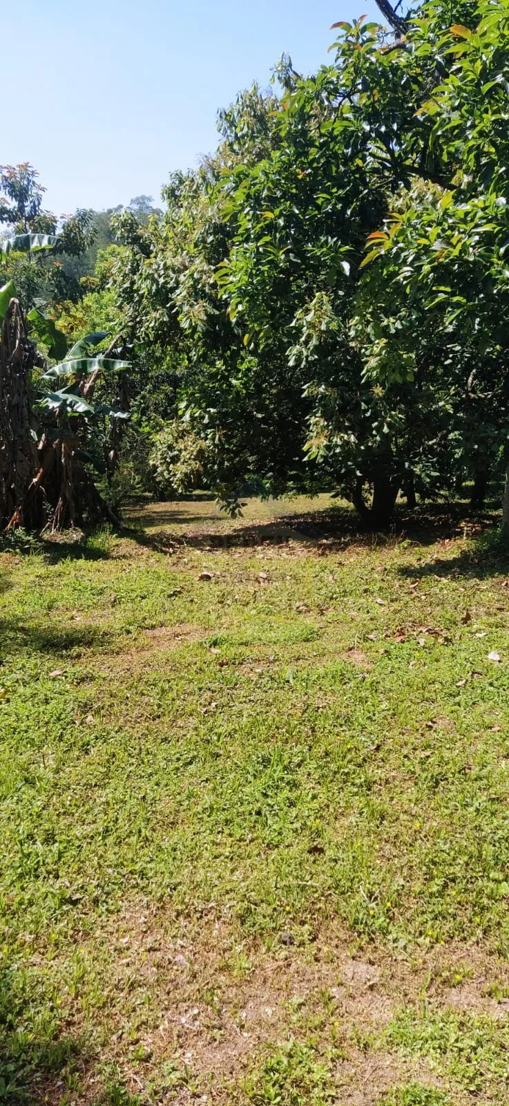 LINDA Chácara à venda no Bairro Palmeiras, Suzano! R$590000,00.