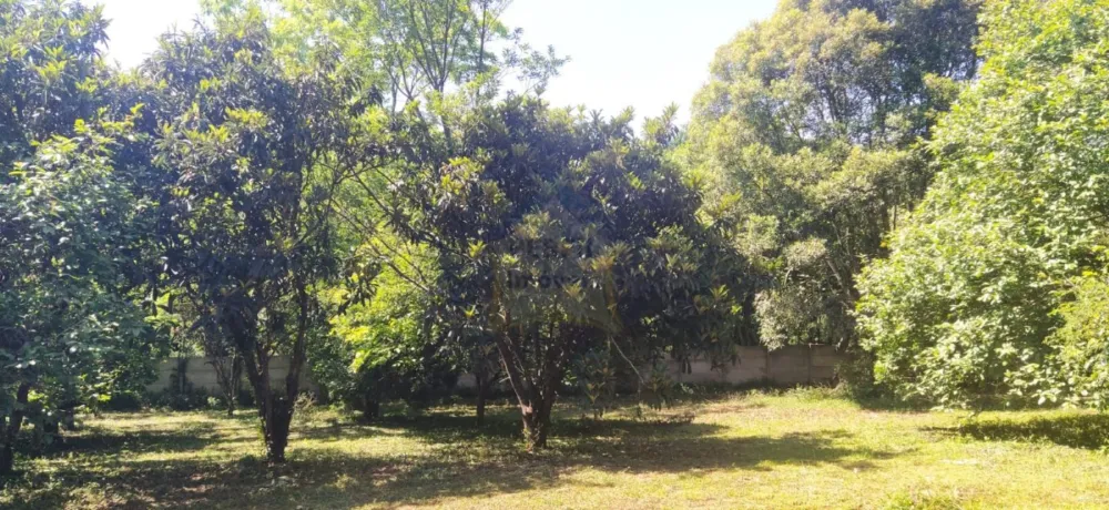 LINDA Chácara à venda no Bairro Palmeiras, Suzano! R$590000,00.