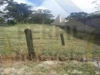 Terreno à Venda Somma, 1558 m / PERDEITO PARA CHÁCARA!