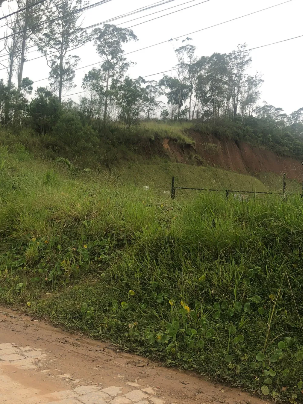 EXCELENTE. ÁREA INDUSTRIAL 7.300M2/ À VENDA EM RIBEIRÃO PIRES.
