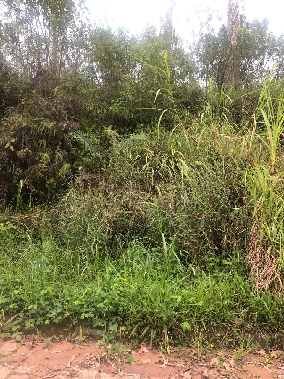 EXCELENTE. ÁREA INDUSTRIAL 7.300M2/ À VENDA EM RIBEIRÃO PIRES.