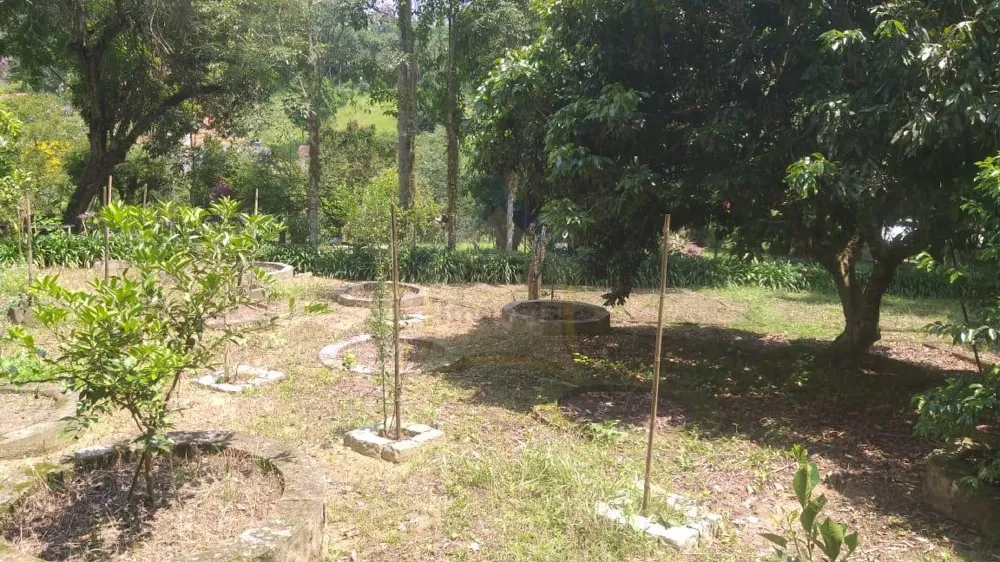 Chácara à venda em Palmeiras/ Suzano. 428M 