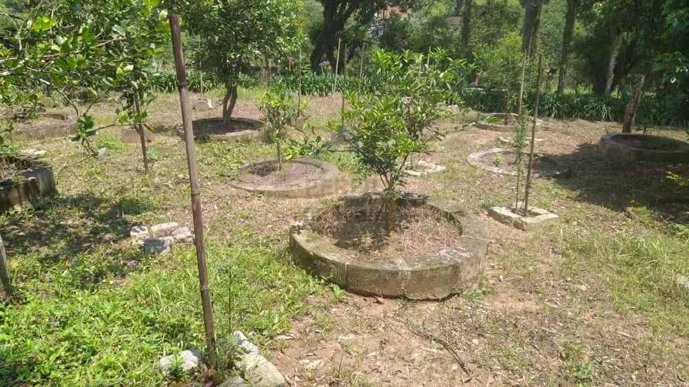 Chácara à venda em Palmeiras/ Suzano. 428M 