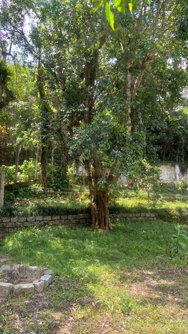 Chácara à venda em Palmeiras/ Suzano. 428M 