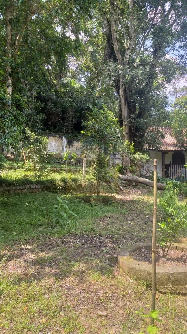 Chácara à venda em Palmeiras/ Suzano. 428M 