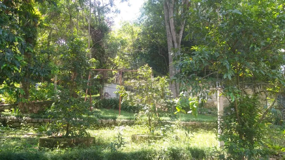 Chácara à venda em Palmeiras/ Suzano. 428M 