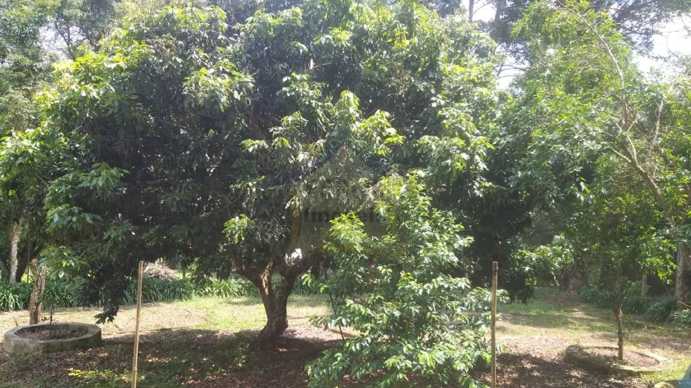 Chácara à venda em Palmeiras/ Suzano. 428M 