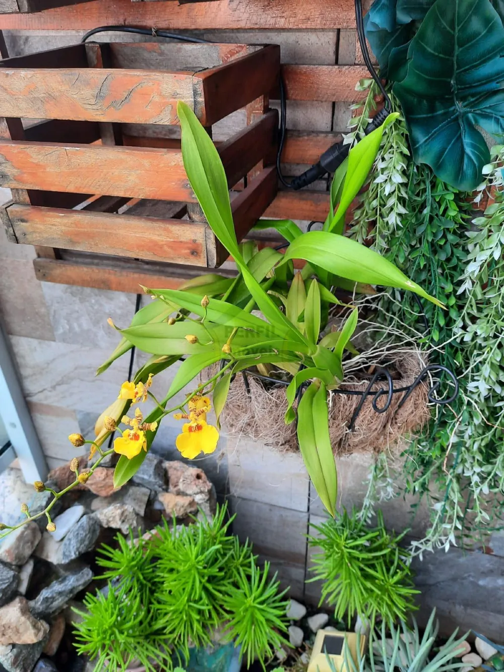 Apartamento para Venda no bairro Vila Scarpelli em Santo André