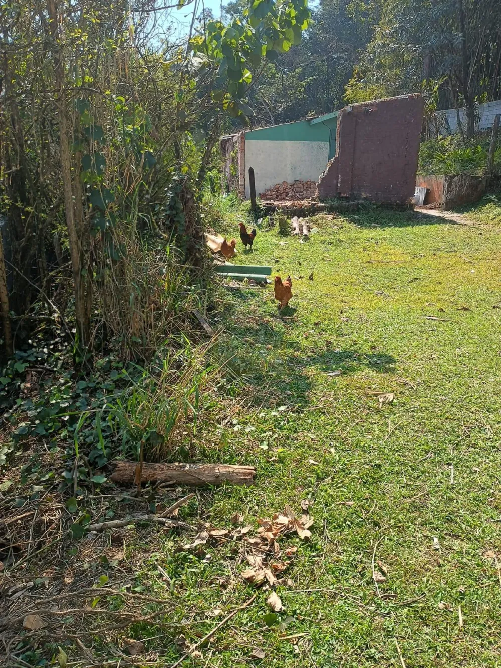 Terreno, excelente localização à venda / Ribeirão Pires.