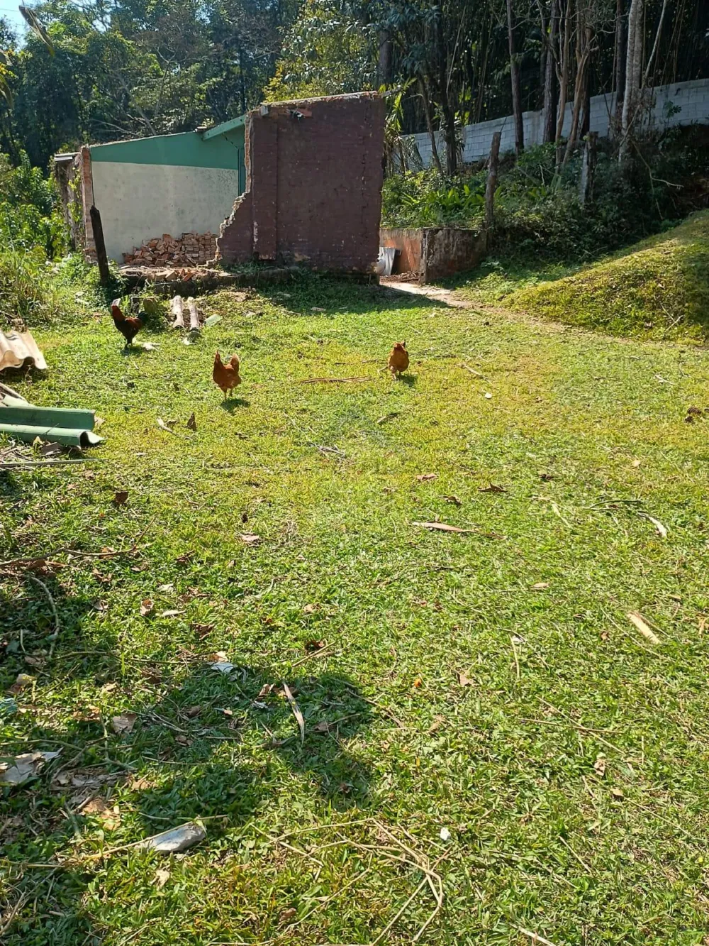 Terreno, excelente localização à venda / Ribeirão Pires.