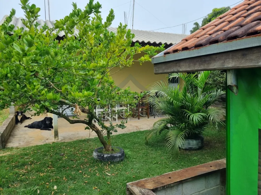 Sítio / Chácara 3 quartos para Venda no bairro Loteamento Chácaras Ingrid em Taubaté