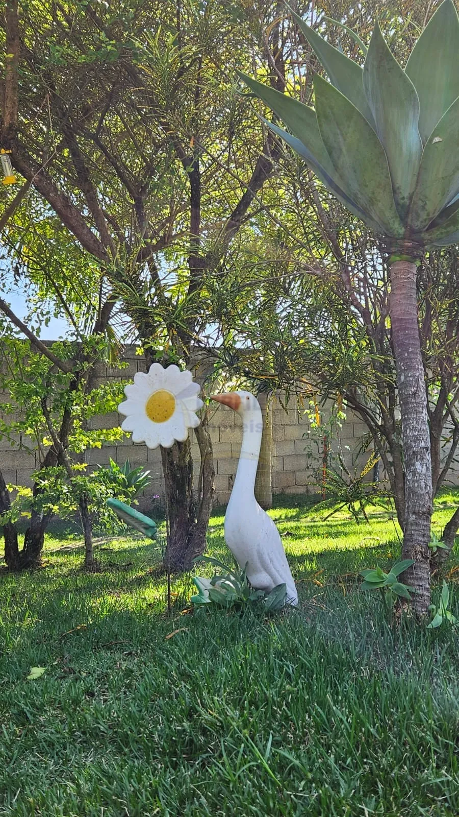Sítio / Chácara 3 quartos para Venda no bairro Loteamento Chácaras Ingrid em Taubaté