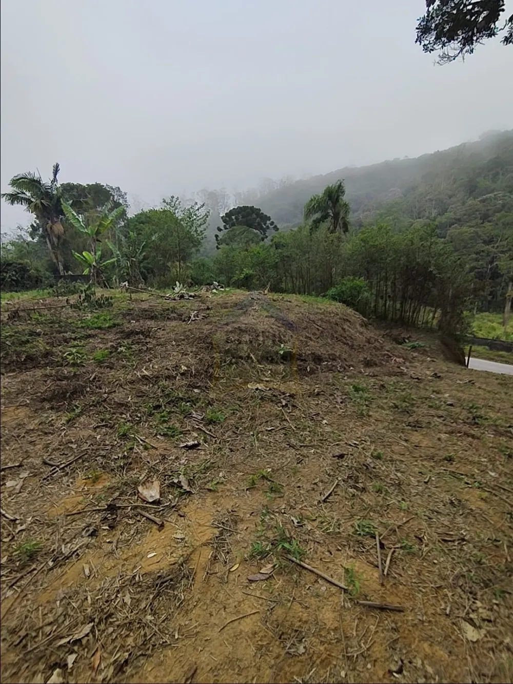 Terreno para Venda no bairro Km 4 em Ribeirão Pires