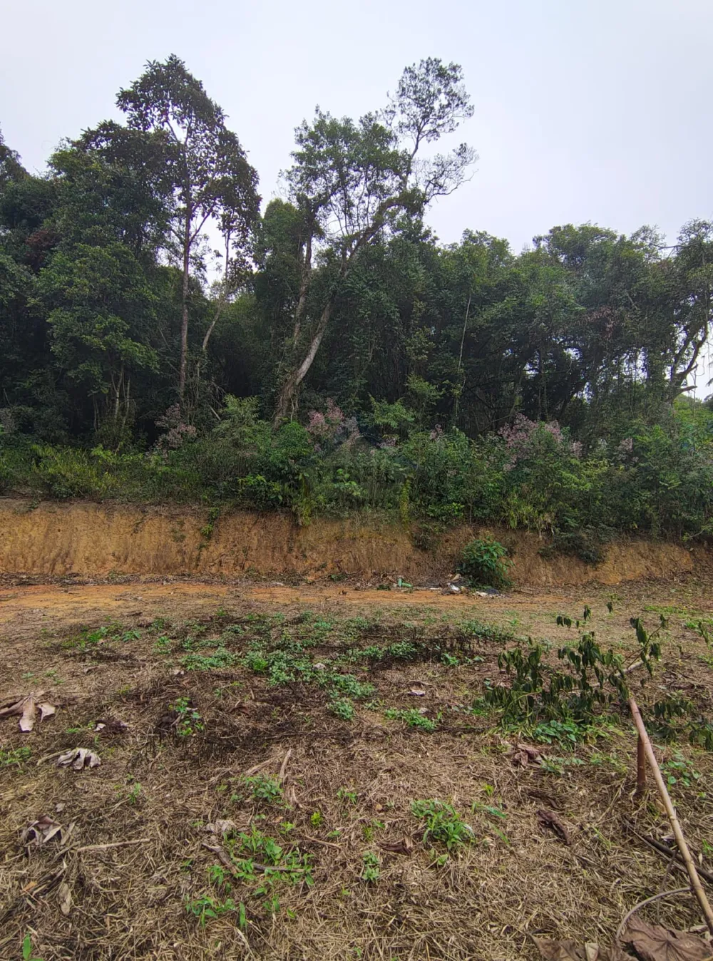 Terreno para Venda no bairro Km 4 em Ribeirão Pires