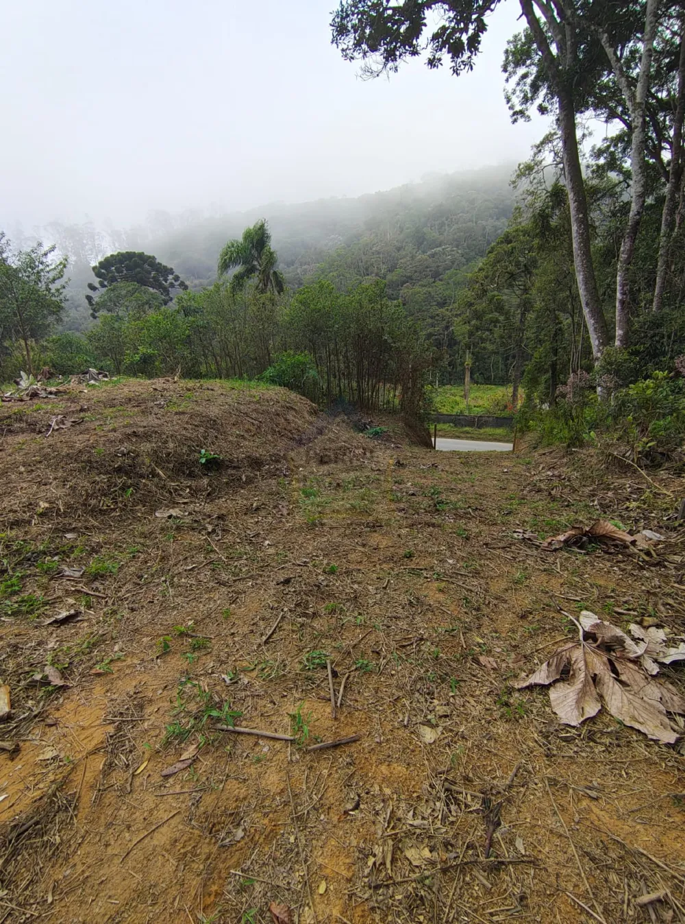 Terreno para Venda no bairro Km 4 em Ribeirão Pires