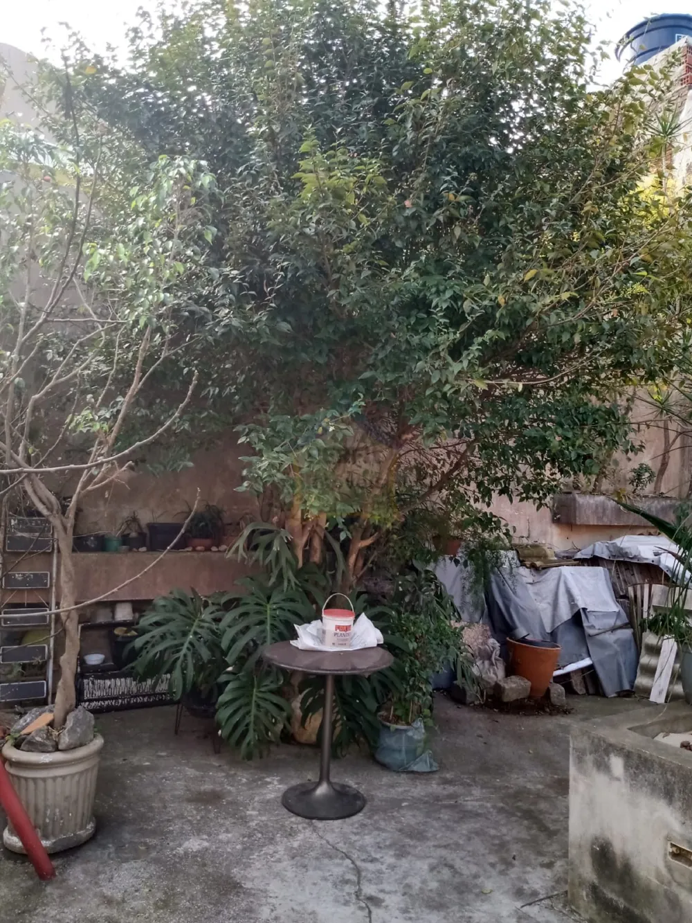 Casa 4 quartos para Venda no bairro Vila Palmares em Santo André