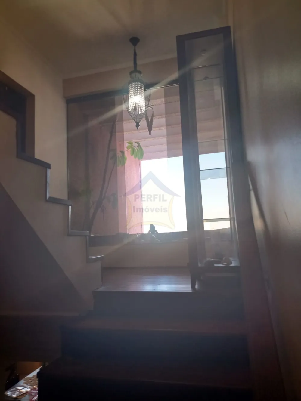Casa 4 quartos para Venda no bairro Vila Palmares em Santo André