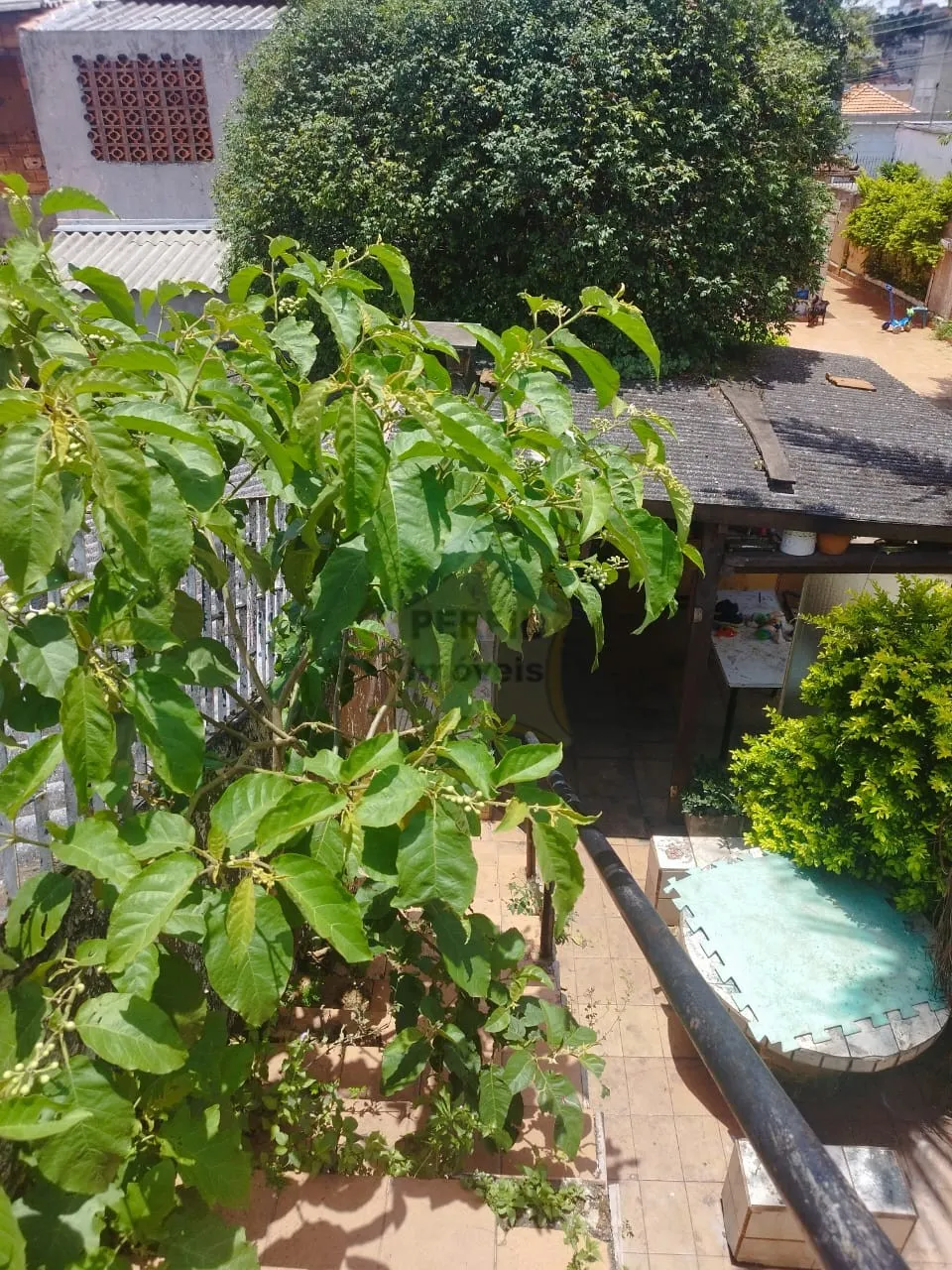 Terreno para Venda no bairro Vila Sacadura Cabral em Santo André