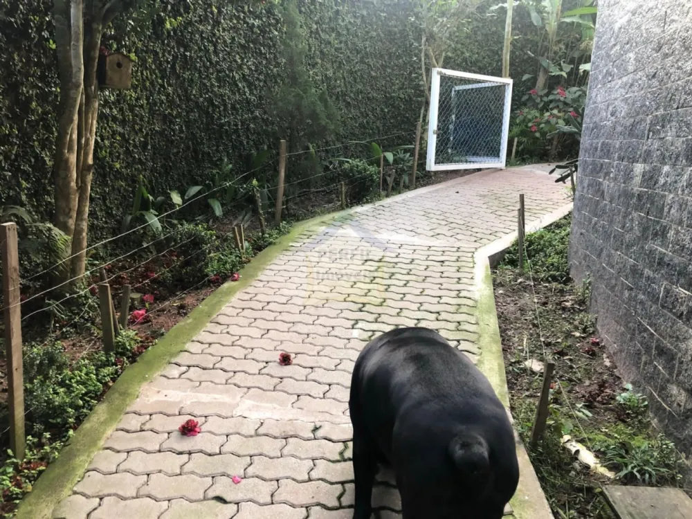 Casa 7 quartos para Venda no bairro Pastoril em Ribeirão Pires