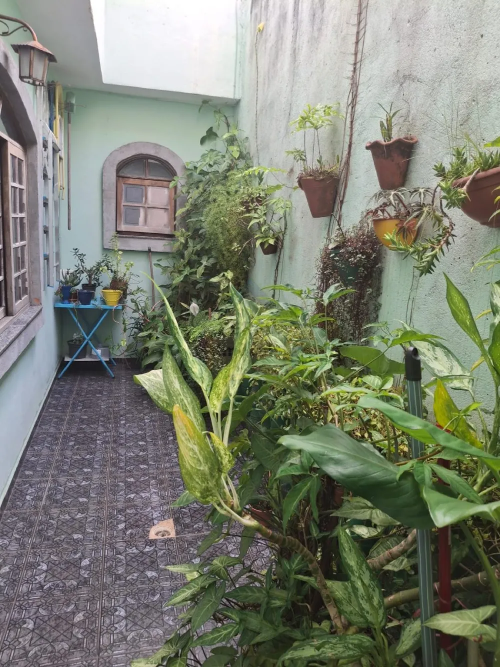 Sobrado 5 quartos para Venda no bairro Vila Camilópolis em Santo André