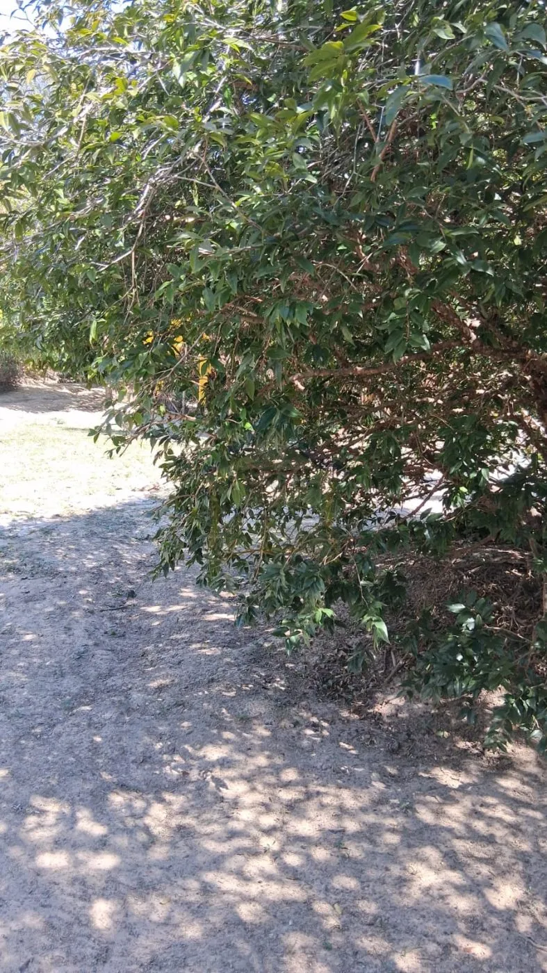 Sítio / Chácara 2 quartos para Venda no bairro Terras de Itaici em Indaiatuba