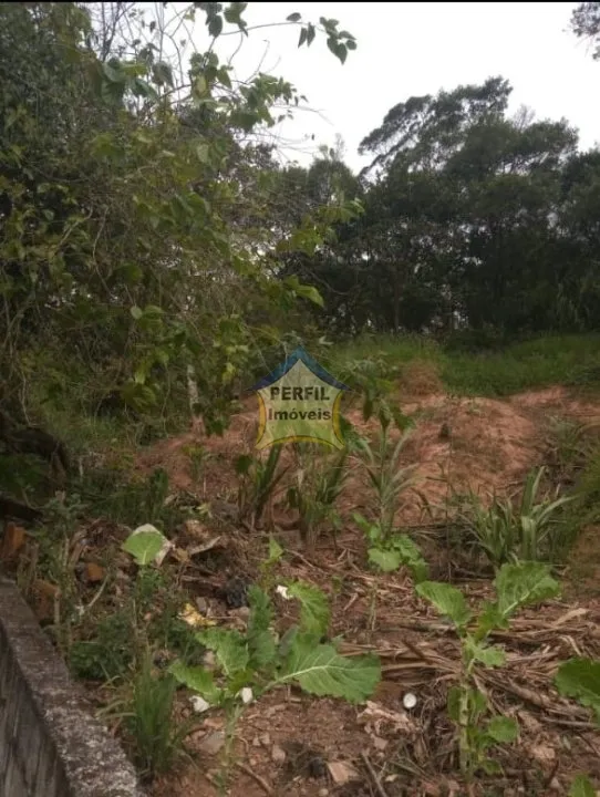 Terreno para Venda no bairro Barro Branco, 280 m
