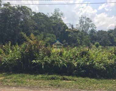 OPORTUNIDADE! EXCELENTE ÁREA INDUSTRIAL À VENDA /Itrapoá, 10.000 m / RIBEIRÃO PIRES.