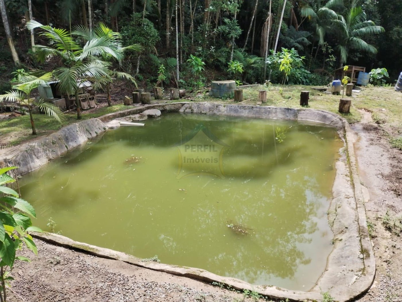 OPORTUNIDADE ! SITIO À VENDA EM rIBEIRÃO PIRES 