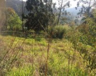 EXCELENTE. ÁREA INDUSTRIAL 7.300M2/ À VENDA EM RIBEIRÃO PIRES.