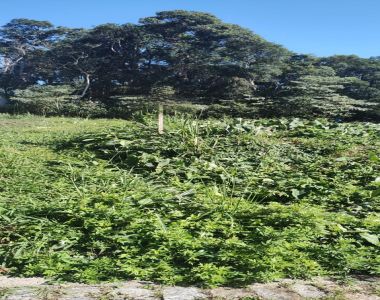Terreno à venda em Suzano com òtima topografia,  12500m.