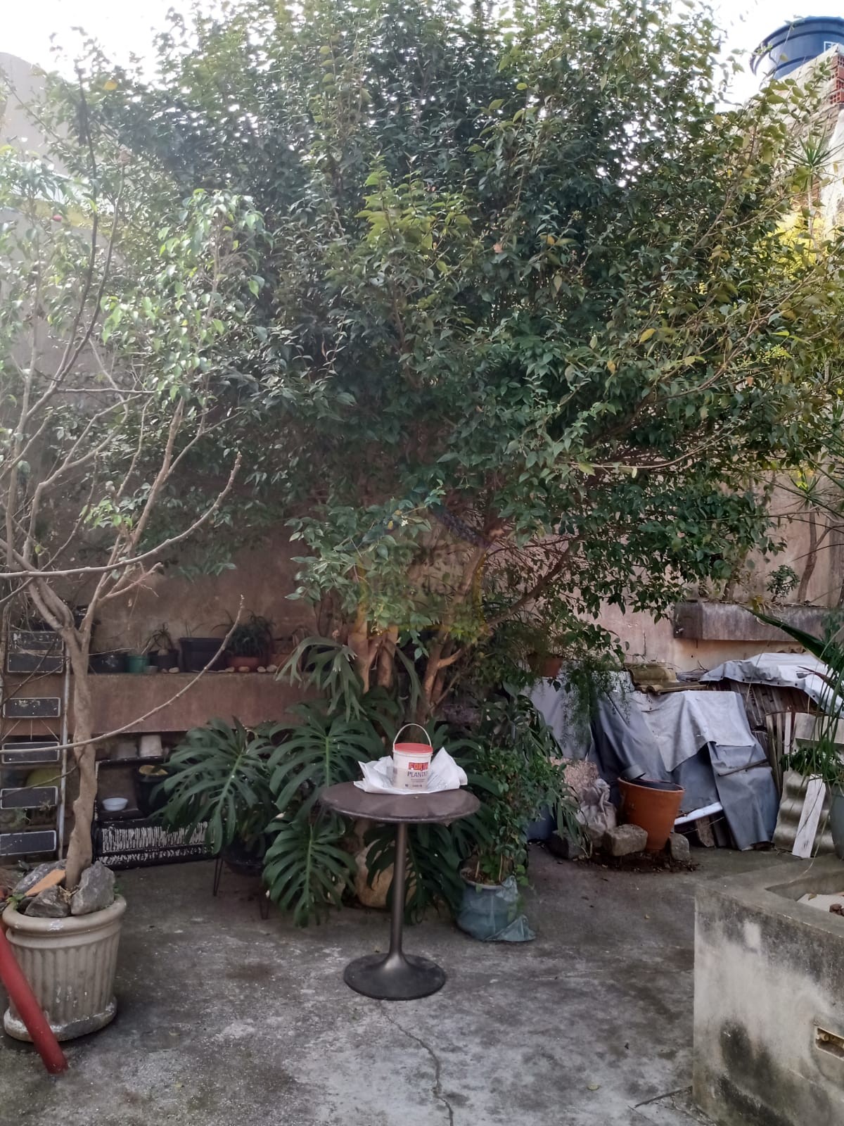 Casa 4 quartos para Venda no bairro Vila Palmares em Santo André