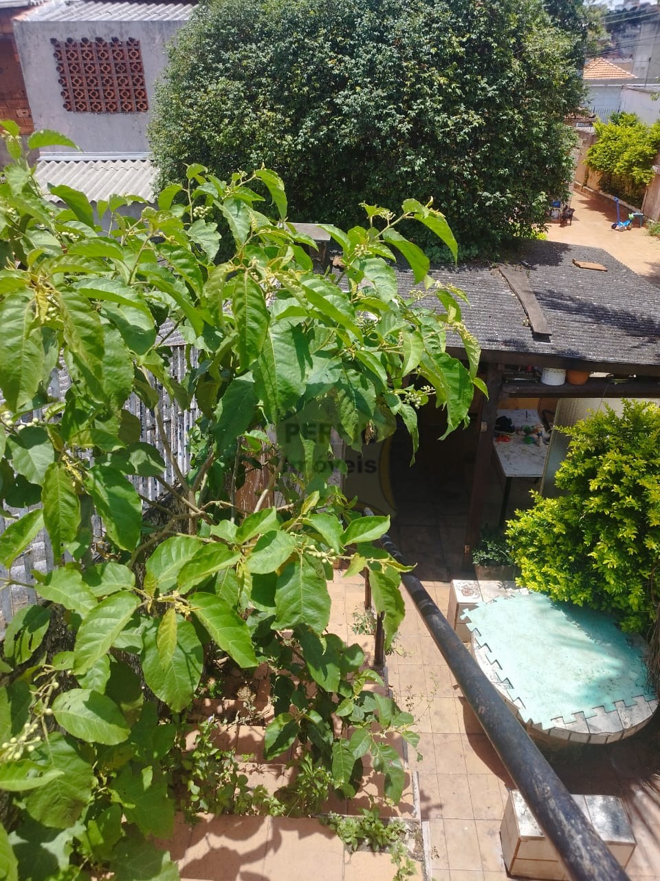 Terreno para Venda no bairro Vila Sacadura Cabral em Santo André