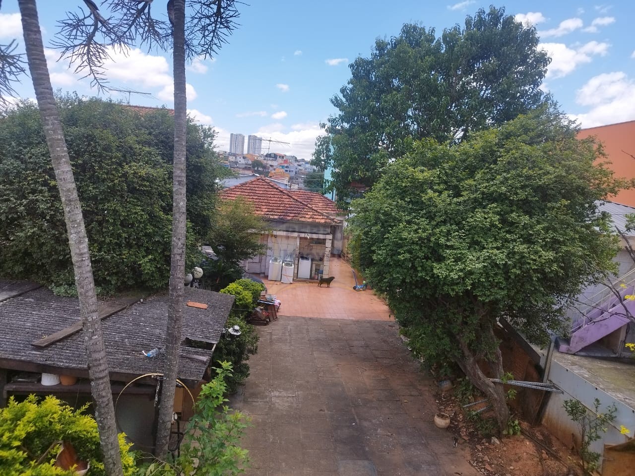Terreno para Venda no bairro Vila Sacadura Cabral em Santo André
