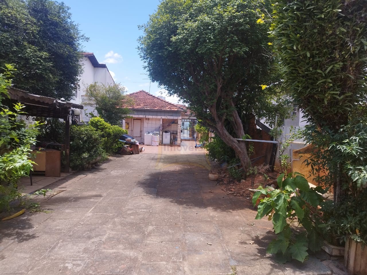 Terreno para Venda no bairro Vila Sacadura Cabral em Santo André