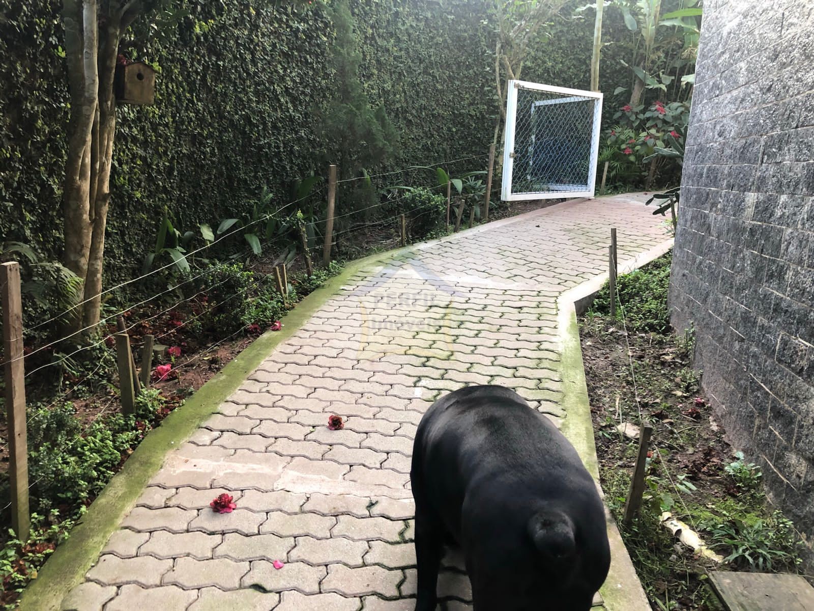 Casa 7 quartos para Venda no bairro Pastoril em Ribeirão Pires