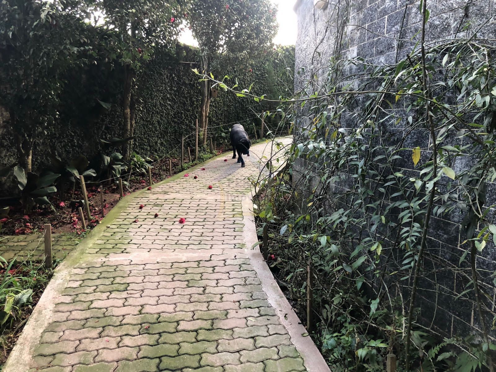 Casa 7 quartos para Venda no bairro Pastoril em Ribeirão Pires
