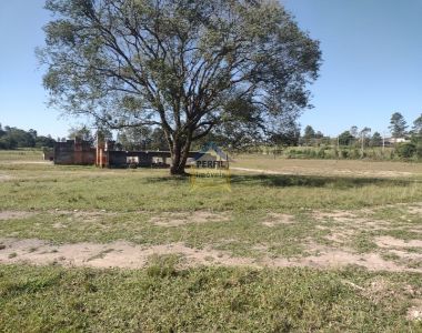 Excelente área Industrial e comercial à venda / Palmeiras - Suzano .