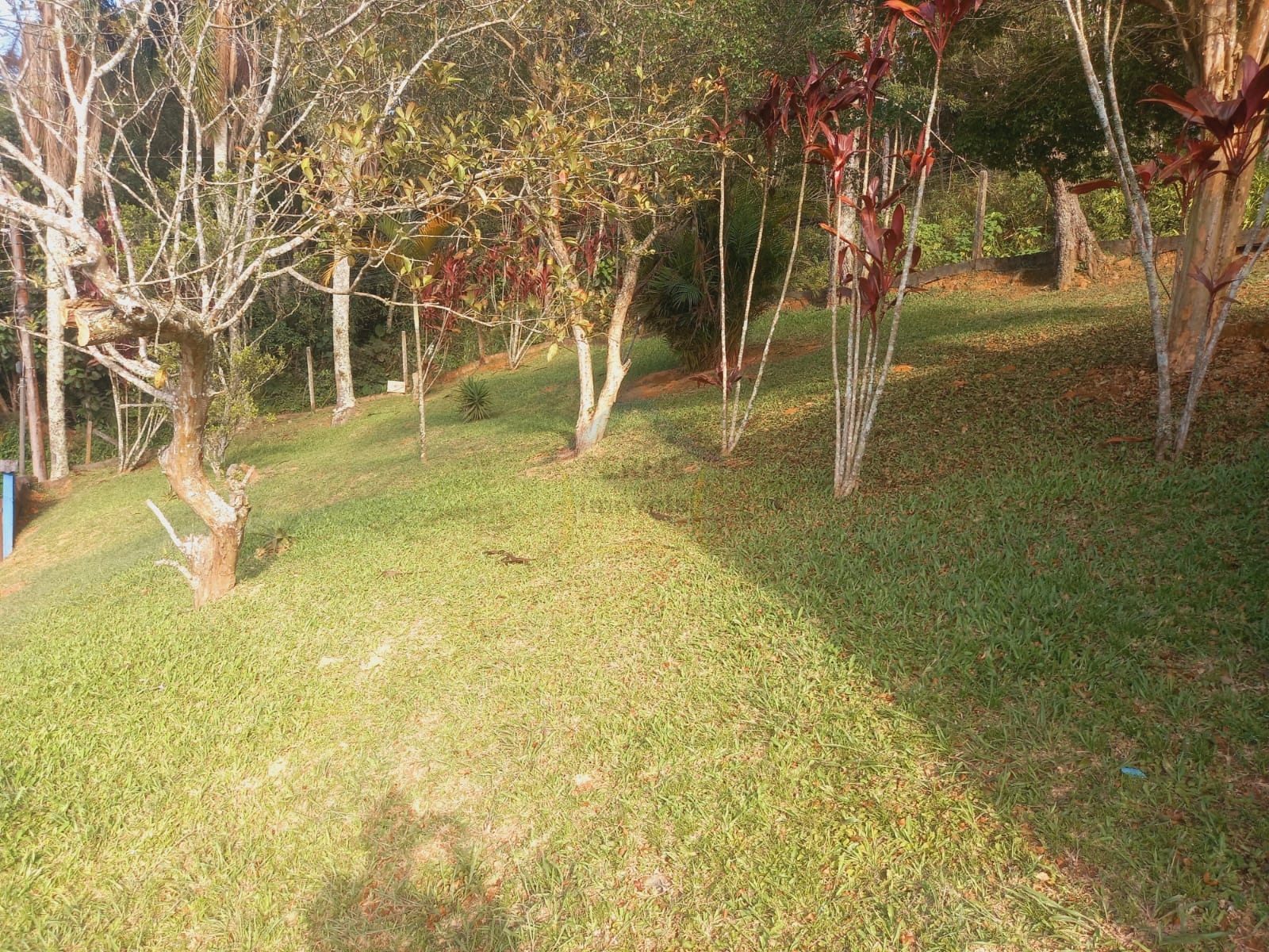 Sítio / Chácara 2 quartos para Venda no bairro Somma em Ribeirão Pires