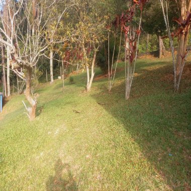 Sítio / Chácara 2 quartos para Venda no bairro Somma em Ribeirão Pires