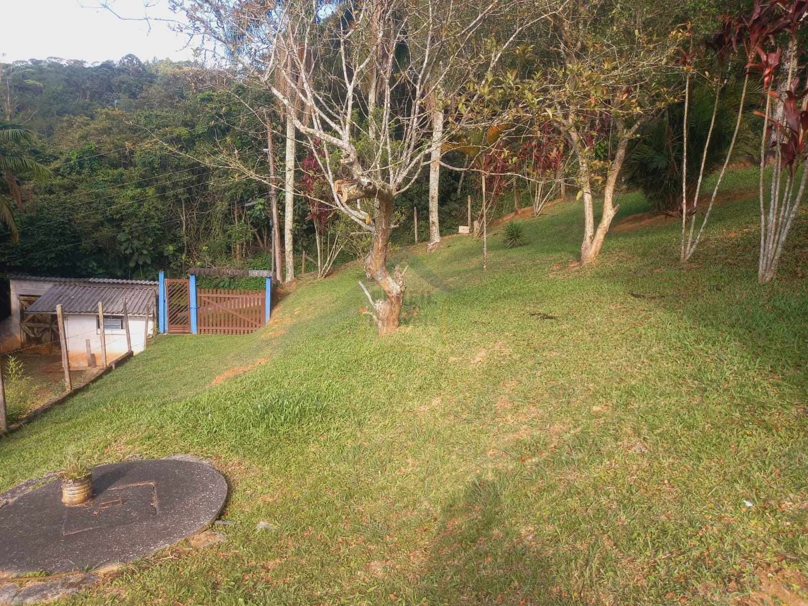 Sítio / Chácara 2 quartos para Venda no bairro Somma em Ribeirão Pires