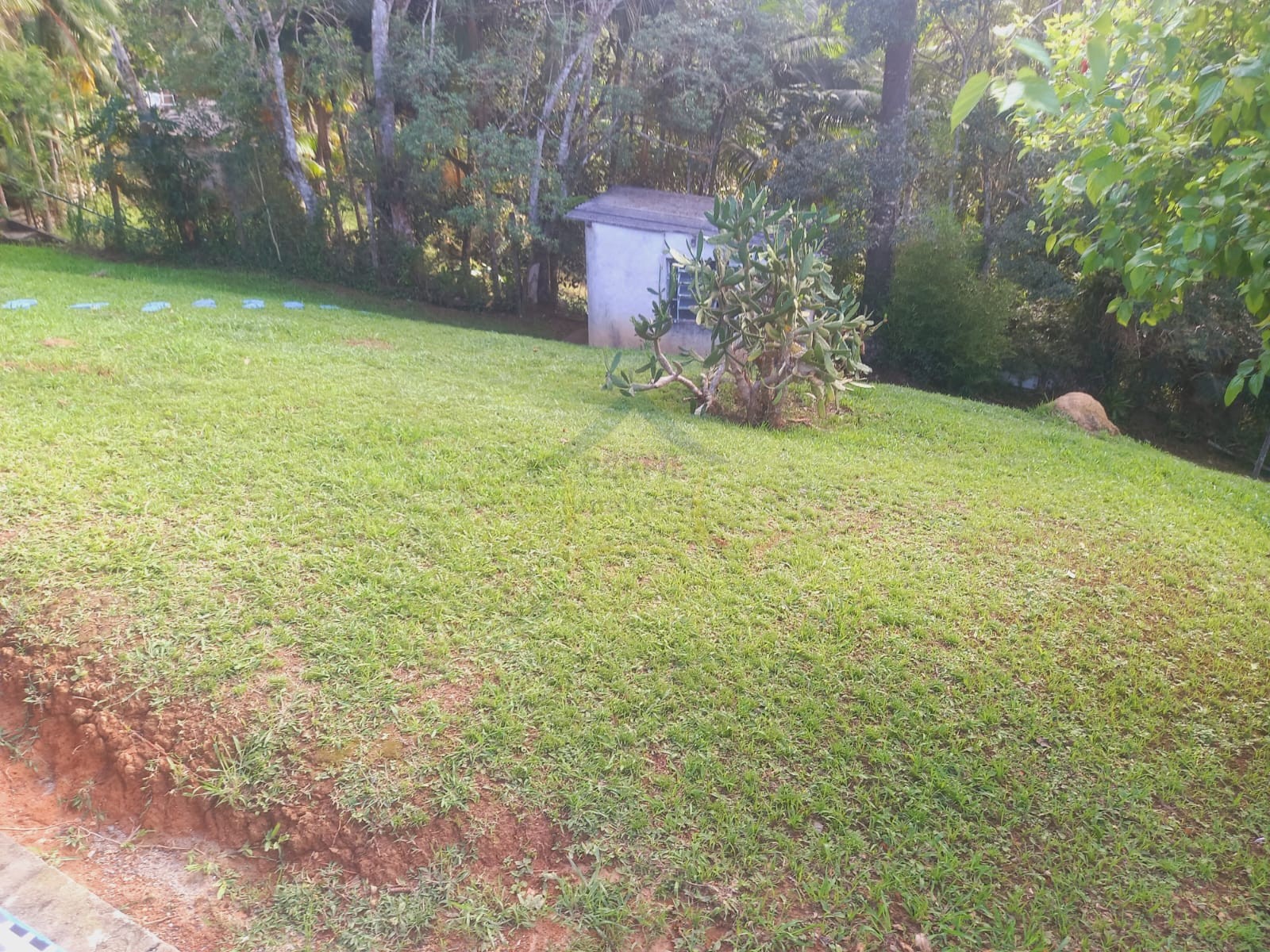 Sítio / Chácara 2 quartos para Venda no bairro Somma em Ribeirão Pires