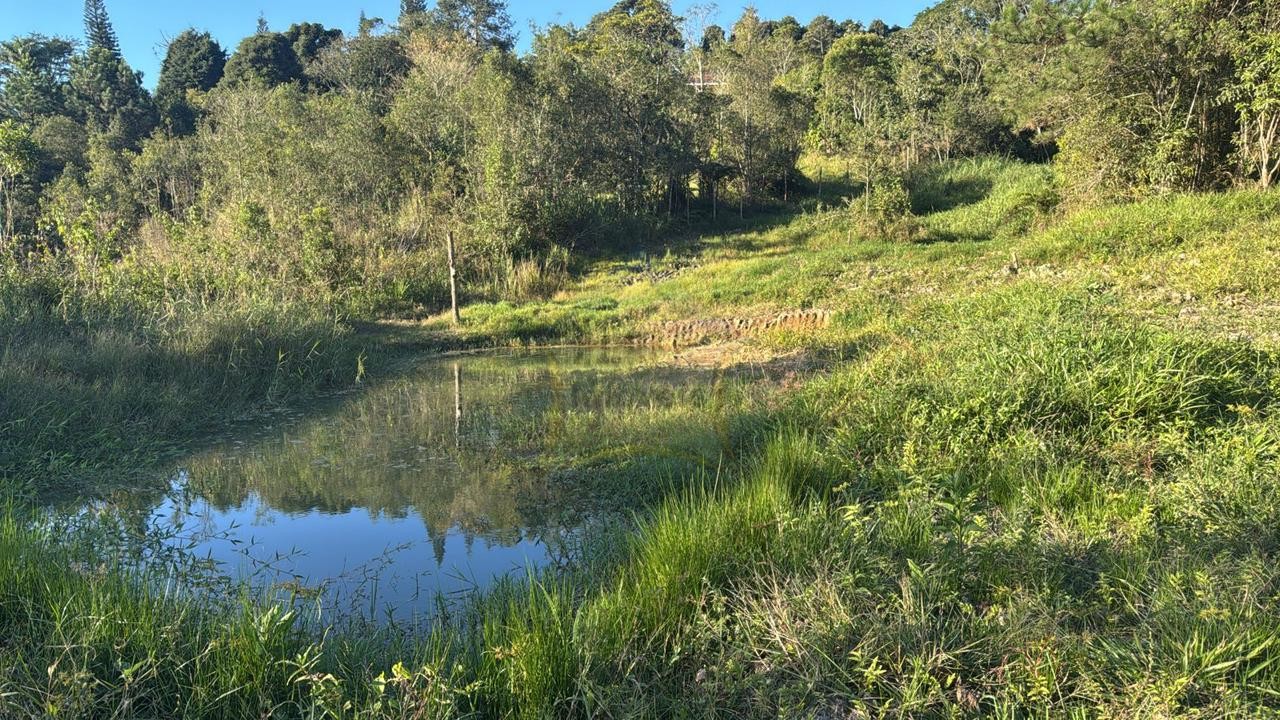 Sítio / Chácara 3 quartos para Venda no bairro Centro de Ouro Fino Paulista em Ribeirão Pires