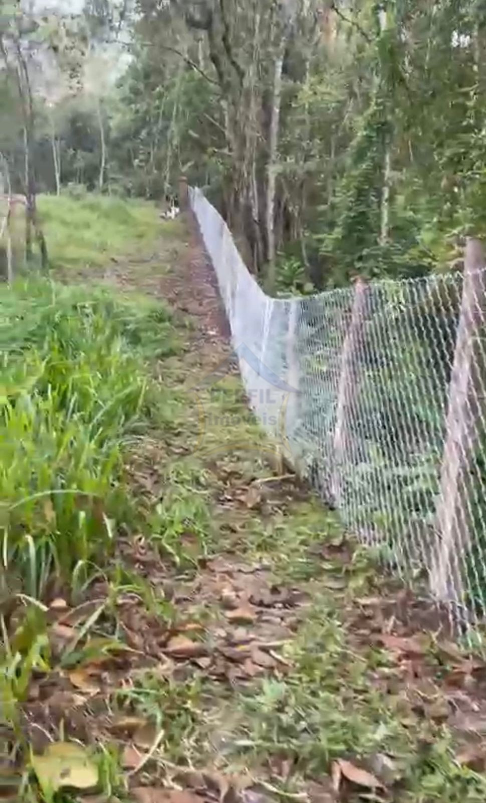 Sítio / Chácara 3 quartos para Venda no bairro Centro de Ouro Fino Paulista em Ribeirão Pires