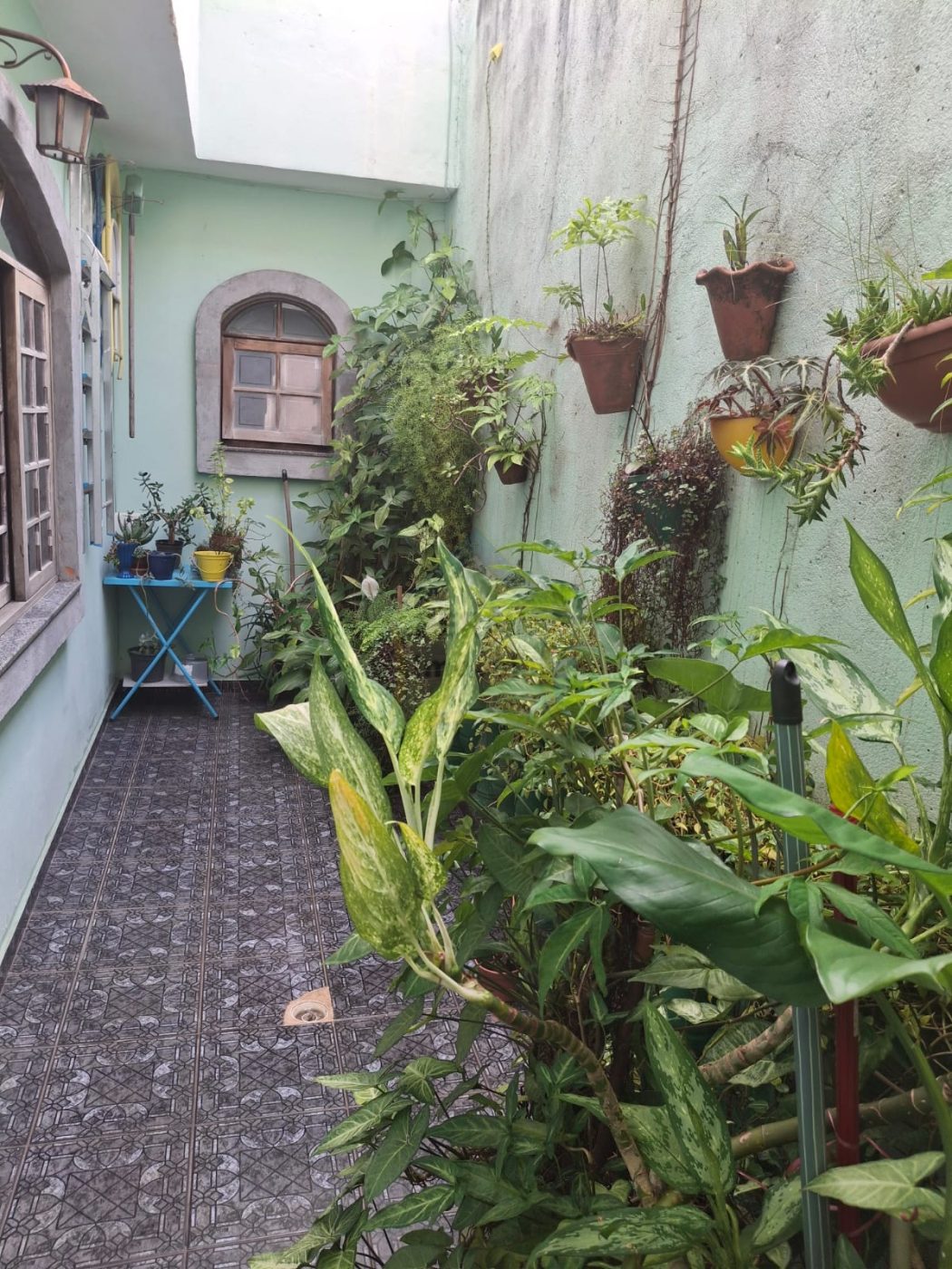 Sobrado 5 quartos para Venda no bairro Vila Camilópolis em Santo André