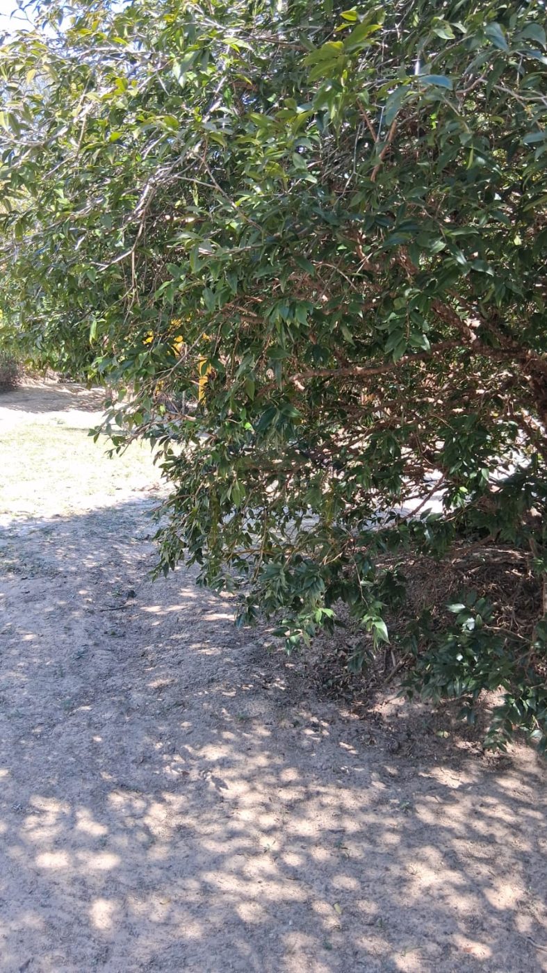 Sítio / Chácara 2 quartos para Venda no bairro Terras de Itaici em Indaiatuba